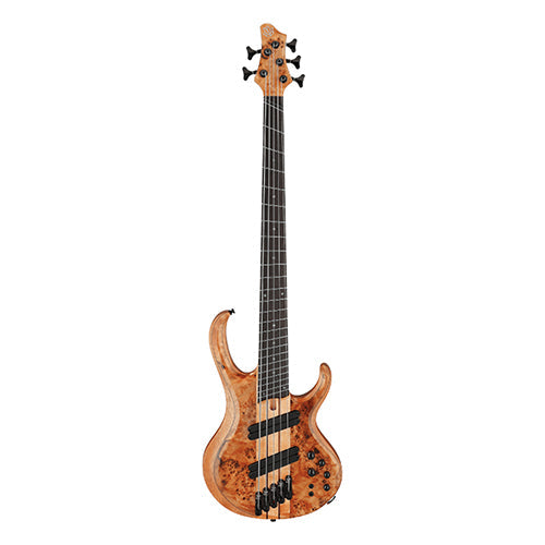 Bass Guitars