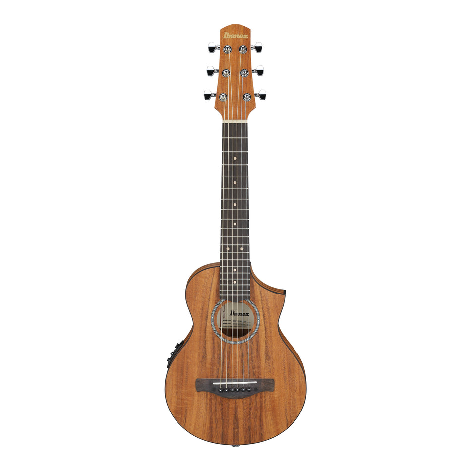 IBANEZ EWP12EWB-OPN  ACOUSTIC GUITAR W/BAG