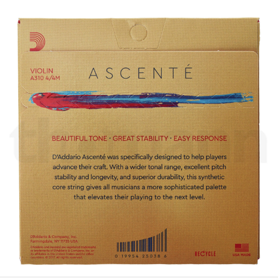 DADDARIO A310 4/4M ASCENTE VIOLIN SET 4/4 MED