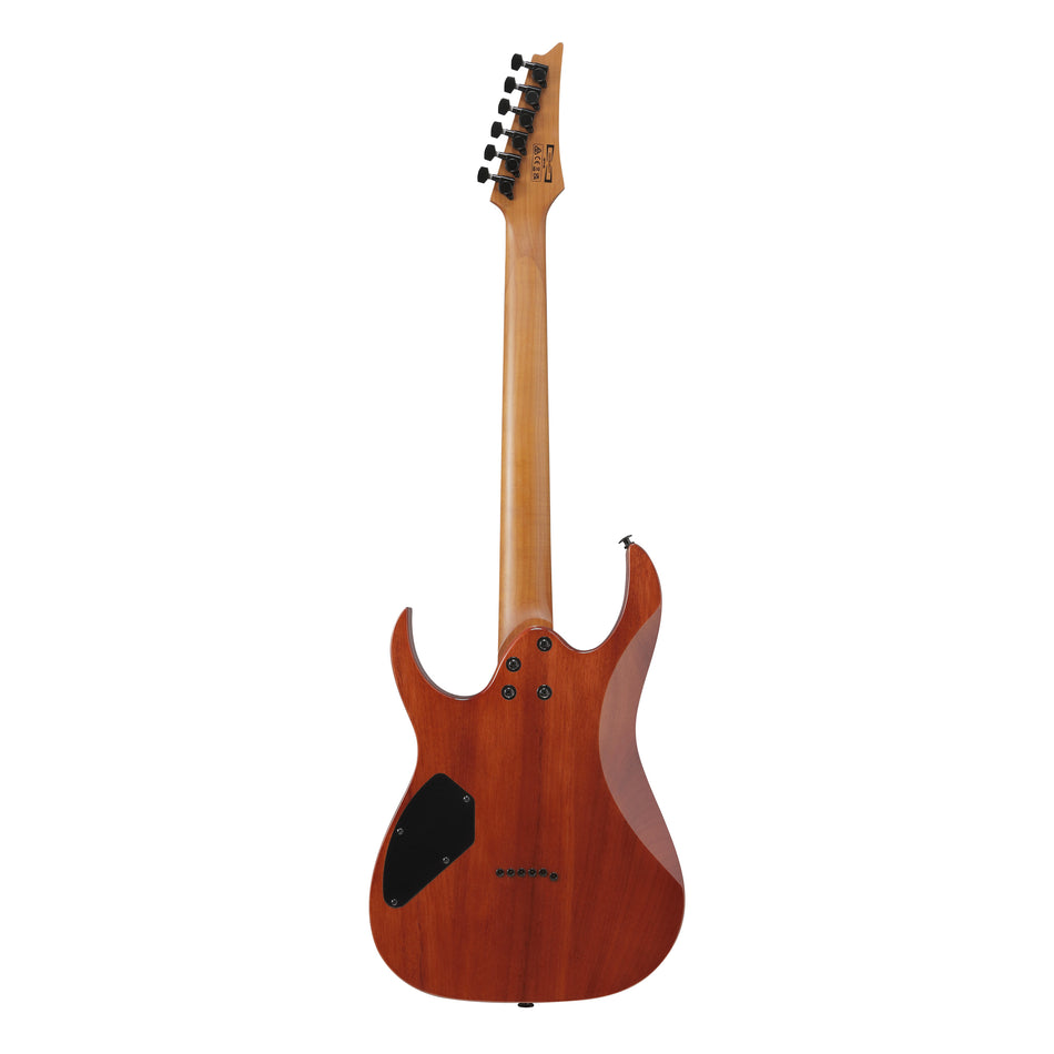 IBANEZ GRGR221FA-TDK ELECTRIC GUITAR