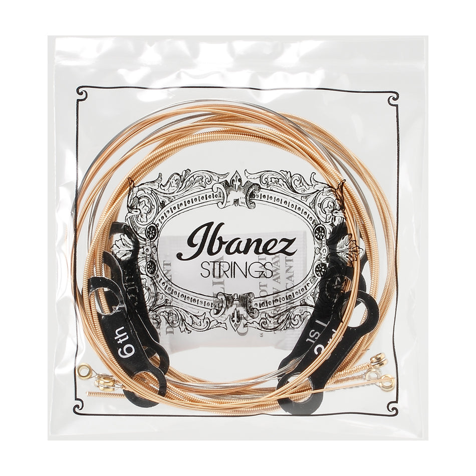 Ibanez IACSP6C Acoustic Guitar Strings