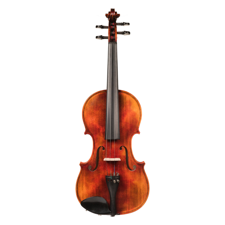 Hora V300 Academy Violin 4/4 with Bow & Case